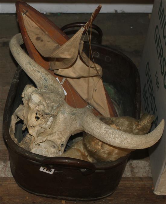 Pond yacht, teddy bear, copper bucket